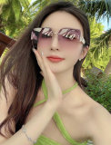 Sunglass lv