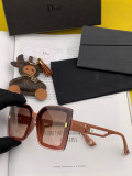Sunglass DIOR