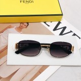 Sunglass FEND
