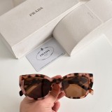 Sunglass MODEL