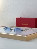 Sunglass Cartie