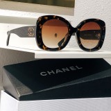 Sunglass CHANE