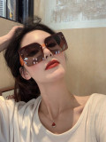 Sunglass TR H47701