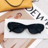 Sunglass MODEL W40156