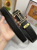 Belt Herm