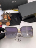 Sunglass DIOR
