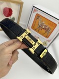 Belt Herm