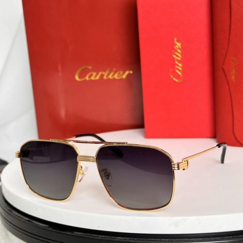 Sunglass Cartie