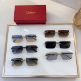 Sunglass Cartie