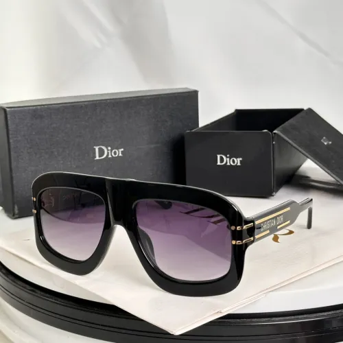 Sunglass DIOR Signature
