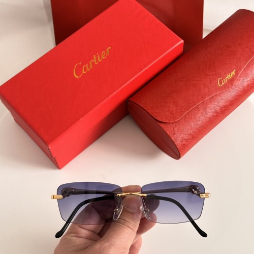 Sunglass Cartie T02810