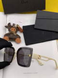 Sunglass DIOR