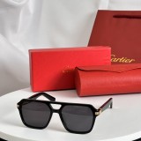 Sunglass Cartie
