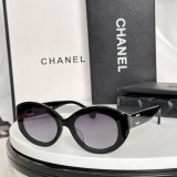 Sunglass CHANE