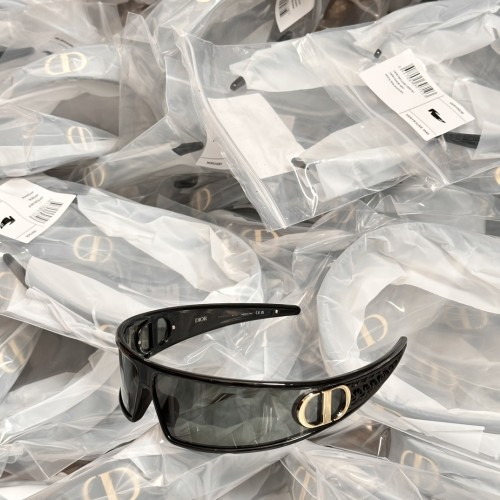 Sunglass DIOR winter