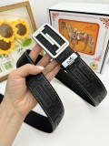 Belt Herm