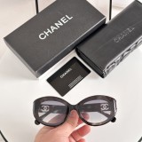 Sunglass CHANE