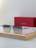 Sunglass Cartie