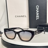Sunglass CHANE