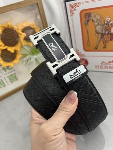 Belt Herm