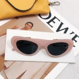 Sunglass MODEL W40156