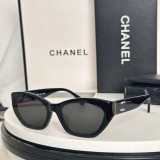 Sunglass CHANE