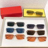 Sunglass MODEL