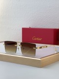 Sunglass Cartie