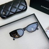 Sunglass MOD