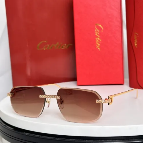 Sunglass Cartie