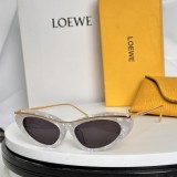 Sunglass LOEWE
MODEL W40166