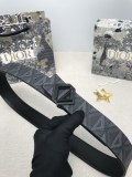 Belt CD Diamond
