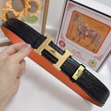 Belt Herm
