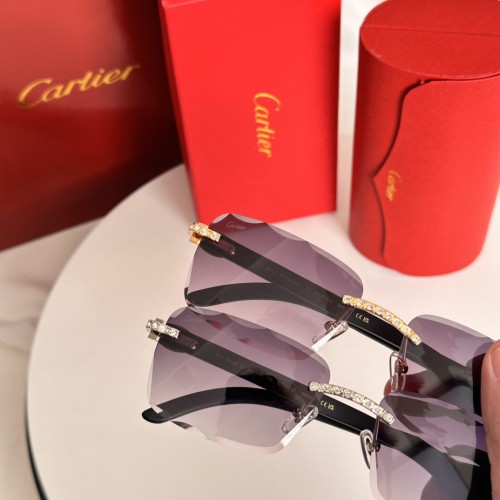 Sunglass Cartie