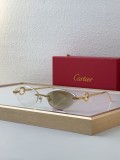Sunglass Cartie