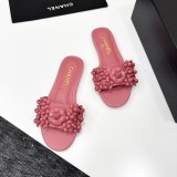 shoes 2025