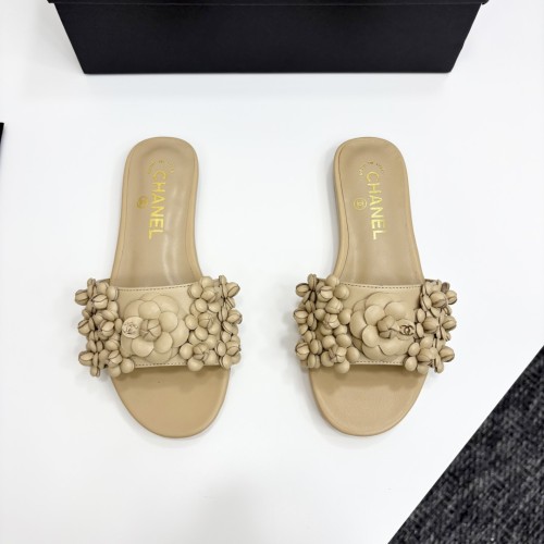 shoes 2025