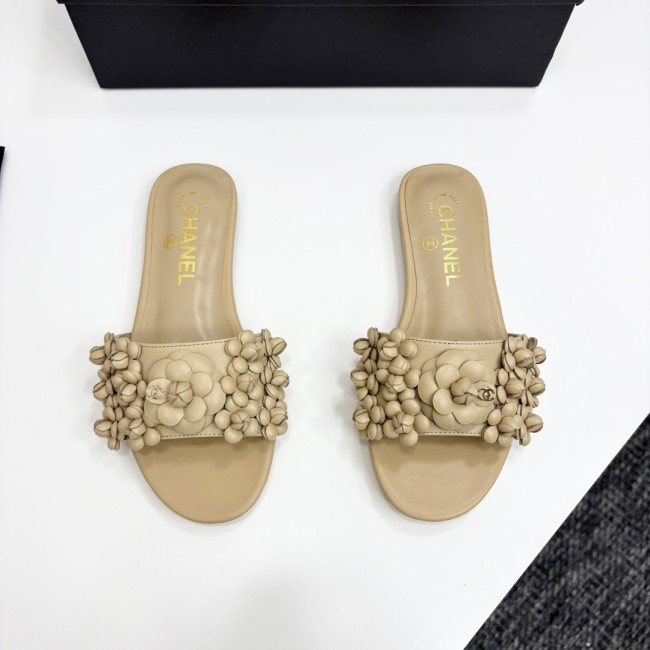 shoes 2025