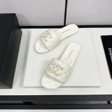 shoes cm