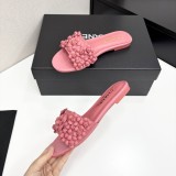 shoes 2025