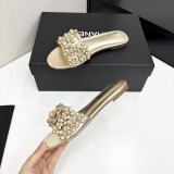 shoes 2025