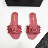 shoes 2025