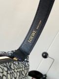 Loewe Cubi Anagram 9008
