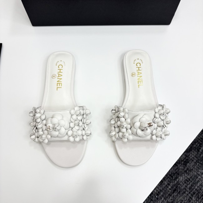 shoes 2025