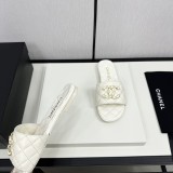 shoes cm
