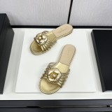 shoes nice 4041