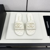 shoes cm