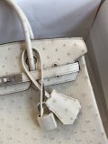 Hermes Birkin