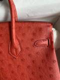 Hermes Birkin