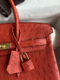 Hermes Birkin